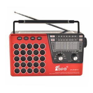 مشغل موسيقى مع راديو وفلاش فيبي FP-271BT-S