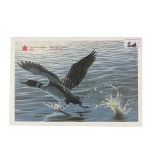 مجموعة 6 عملات السك الملكية الكندية عام 1988