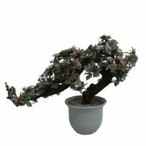 مزهرية ملكية عتيقة مصنوعة من السيراميك حجم كبير