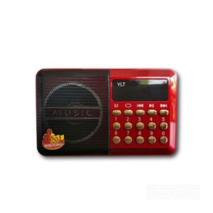 YLT-02FMSY DIGITAL SELECTS MUSIC PLAYER/FM RADIO